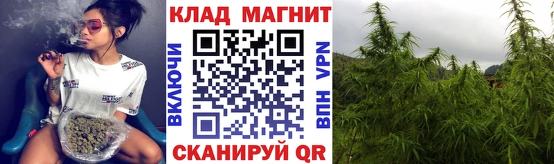 Купить наркотик Вязники Каннабис СК ГАШ