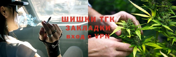хмурый Корсаков