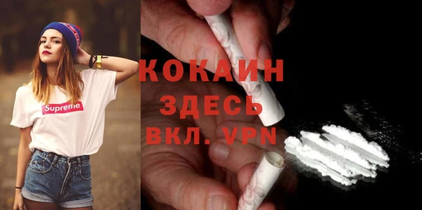 дживик Козельск