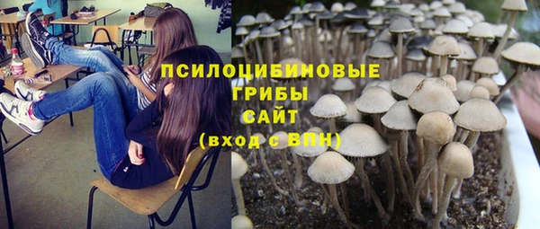 mdma Козловка