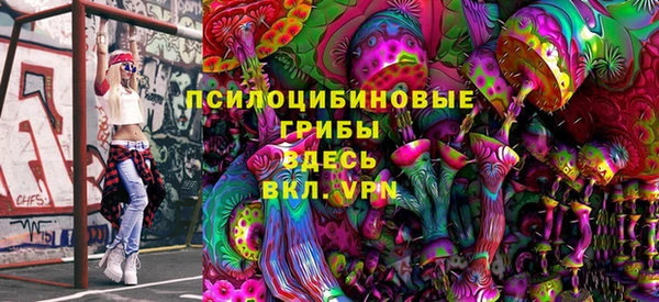 первитин Коряжма