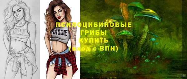 прущая мука Кодинск