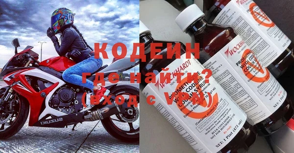 хмурый Корсаков