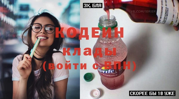 дживик Козельск