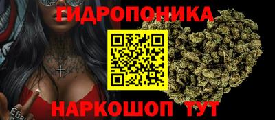 гашиш Аргун