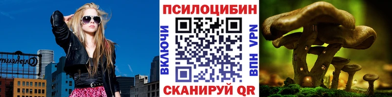 Псилоцибиновые грибы MAGIC MUSHROOMS купить наркотики цена Вязники