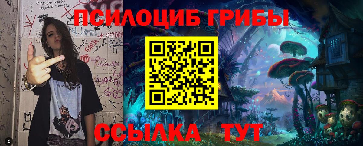 купить наркотики сайты  Вход с VPN  Вязники  Галлюциногенные грибы ЛСД 