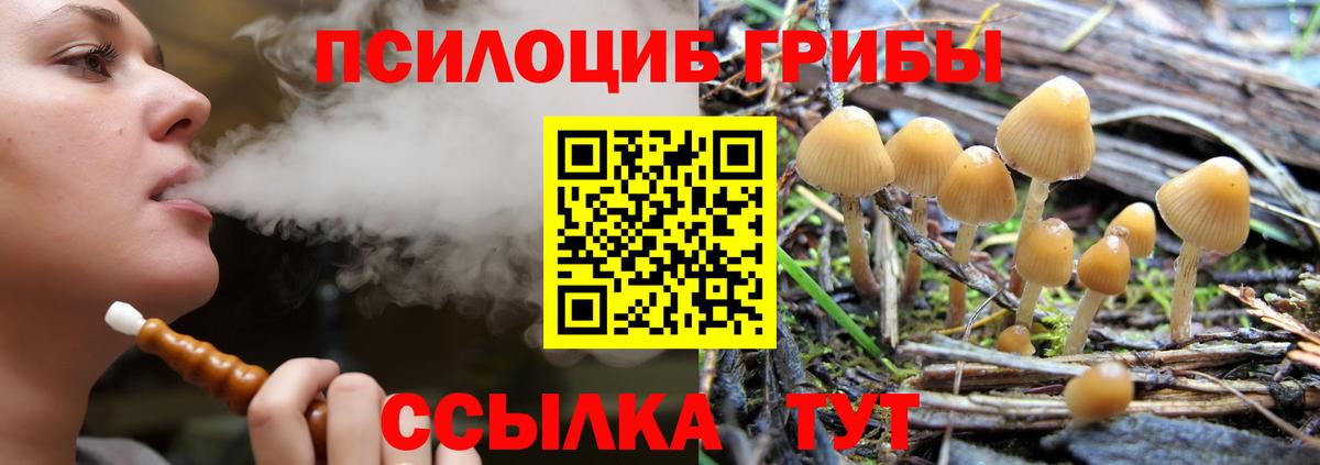 Псилоцибиновые грибы GOLDEN TEACHER Вязники